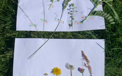 Bouquets de fleurs